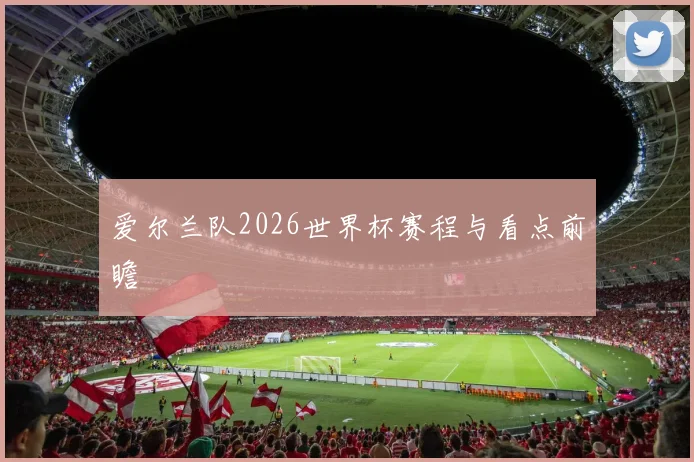 爱尔兰队2026世界杯赛程与看点前瞻